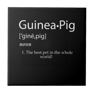 Guinee-Bissau - Beste PET voor kinderen Tegeltje