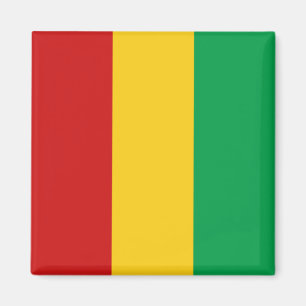 Guinee-Conakry Flag Magnet Magneet
