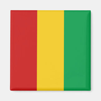 Guinee-Conakry Flag Magnet Magneet
