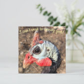 Guinee Fowl (Staand voorkant)