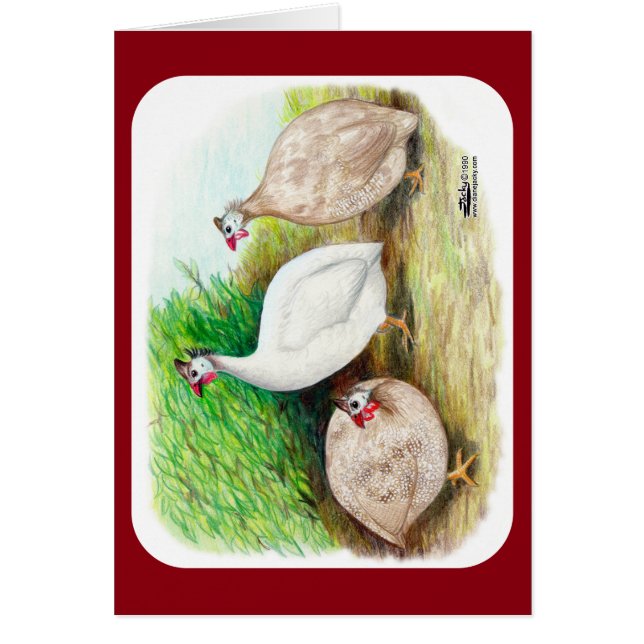 Guinee Fowl buiten (Voorkant)