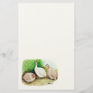Guinee Fowl buiten Briefpapier