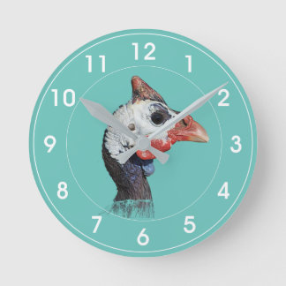 Guinee Fowl Ronde Klok