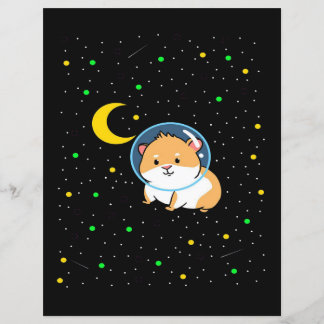 Guinee in de ruimte | Cute Astronomy Guinee Pig