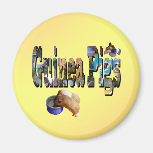 Guinee is het woord, Magnet Magneet