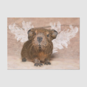 Guinee Pig Angel Tissuepapier