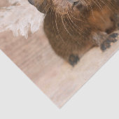 Guinee Pig Angel Tissuepapier (Detail)