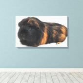 Guinee Pig Canvas Afdruk (Insitu (Houten vloer))
