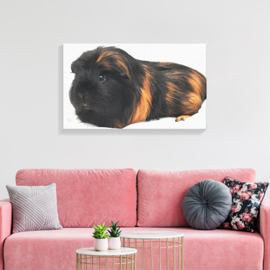 Guinee Pig Canvas Afdruk (Insitu (Woonkamer))