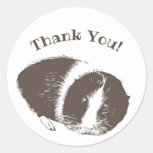 Guinee Pig Cavy Bedankt Ronde Sticker