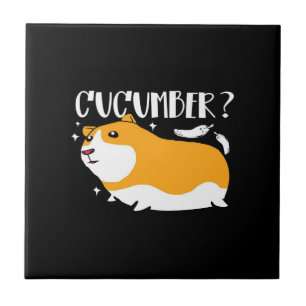 Guinee Pig Cucumber Cute Guinea Pig Kool Pet Tegeltje
