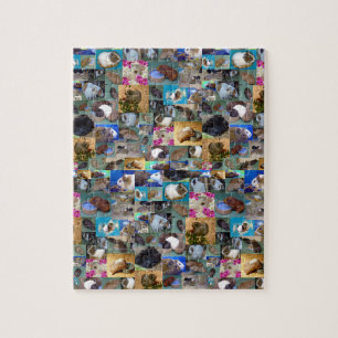 Guinee Pig Fotocollage, puzzel Legpuzzel