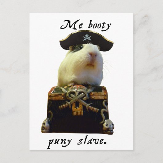 Guinee Pig Funny Pirate Briefkaart (Voorkant)