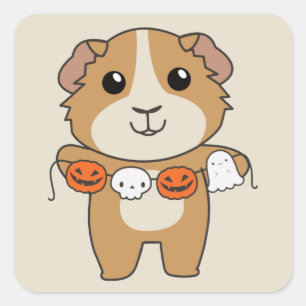 Guinee Pig Gelukkig Halloween Pompoen Kostuum Vier Vierkante Sticker