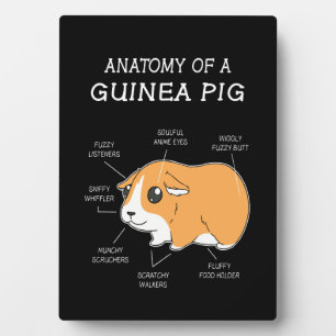 Guinee Pig Gift Anatomie van een cavia Fotoplaat