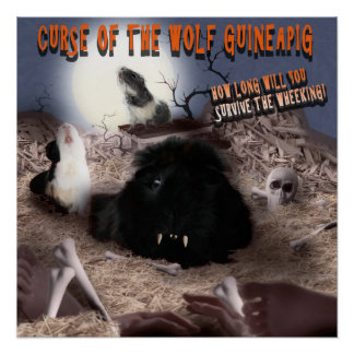 Guinee Pig Halloween Perfect Poster