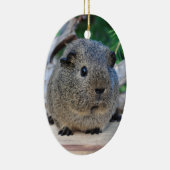 Guinee Pig Keramisch Ornament (Rechts)