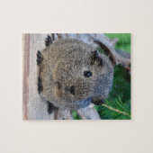 Guinee Pig Legpuzzel (Horizontaal)