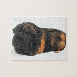 Guinee Pig Legpuzzel