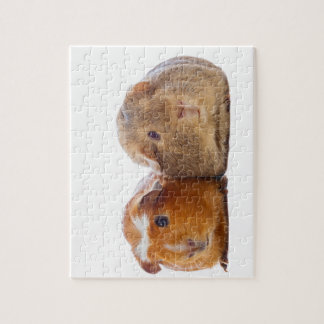 Guinee Pig Legpuzzel