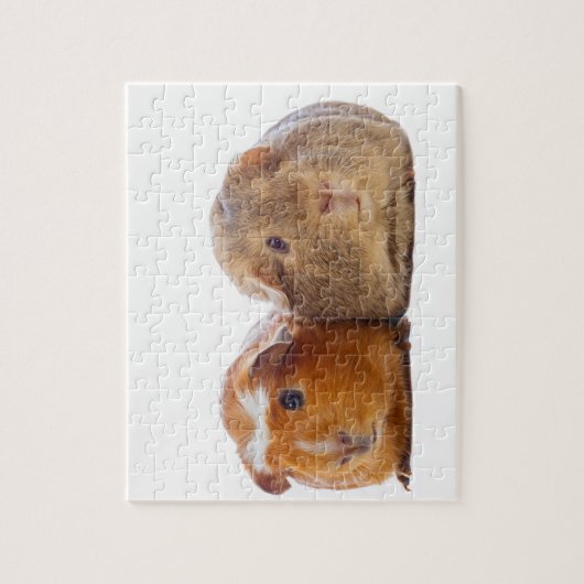 Guinee Pig Legpuzzel (Verticaal)