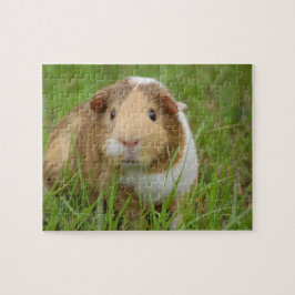 Guinee Pig Legpuzzel