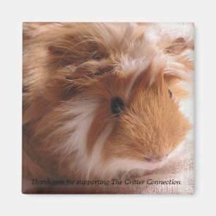 Guinee pig Magnet #1 Magneet
