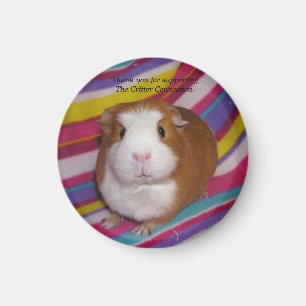 Guinee pig Magnet 3 Magneet