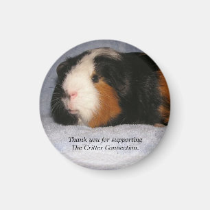 Guinee pig Magnet #4 Magneet