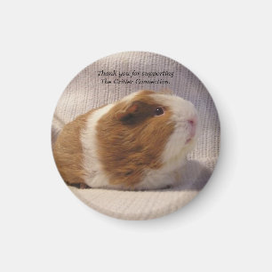 Guinee pig Magnet #5 Magneet