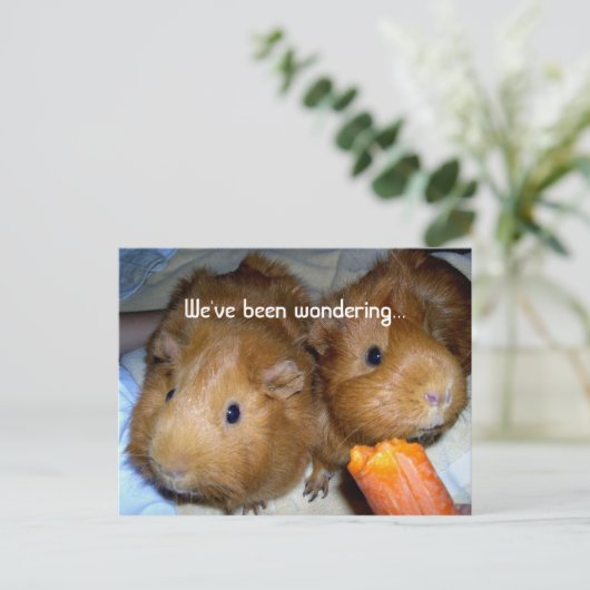 Guinee Pig Miss U Briefkaart (Staand voorkant)