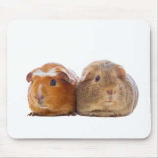 Guinee Pig Muismat