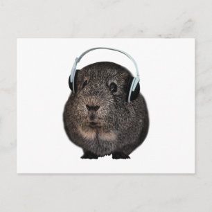 Guinee Pig Music Pet Briefkaart