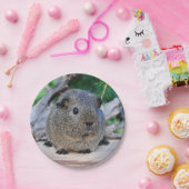 Guinee Pig Papieren Bordje (Feest)