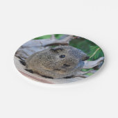 Guinee Pig Papieren Bordje (Gekanteld)