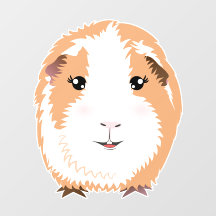 Guinee Pig