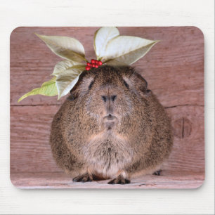 Guinee Pig SweeLieverd Muismat
