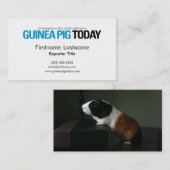 Guinee Pig Today Visitekaartjes (Voorkant / Achterkant)