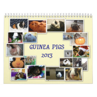 Guinee Pigs 2013 Kalender