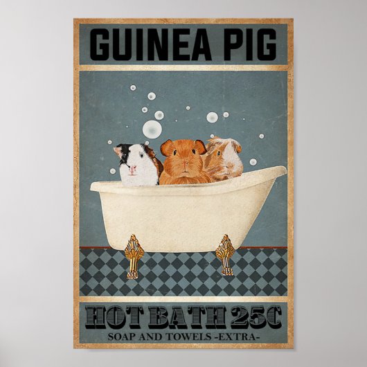 Guinee Pigs Hot Bath 25C Poster (Voorkant)
