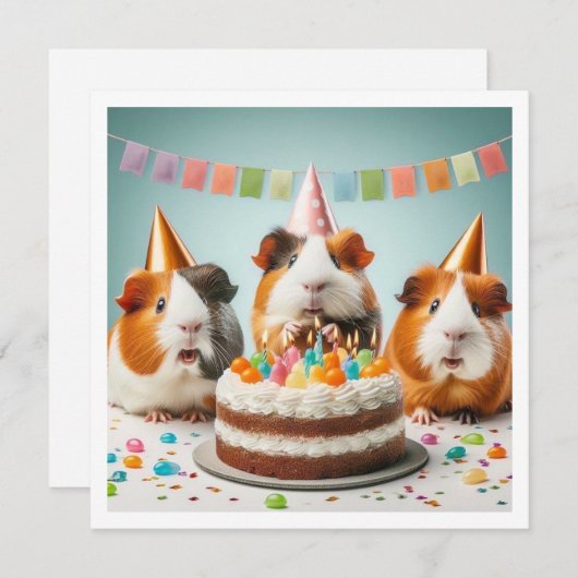 Guinée porcs mangeant gâteau invitation anniversai (Devant / Derrière)