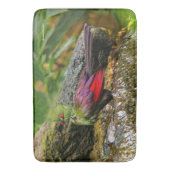 Guinee Turaco bij de waterval Badmat (Voorkant Verticaal)