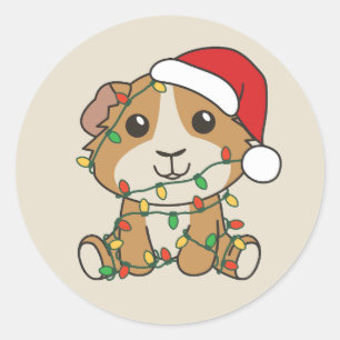Guinee Varken Kerstmis Winter Dieren Vakantie Ronde Sticker