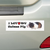 Guinee-Varkenshaar Bumpersticker (Op auto)