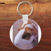 Guinee-Varkenshaar sleutelhanger (Voorkant)