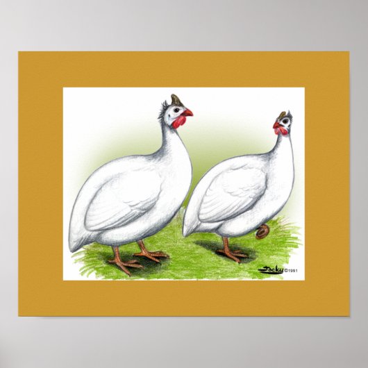 Guinee's: wit poster (Voorkant)