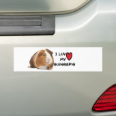 Guinese Bumpersticker "Ik hou van Mijn Guineeërs" (Op auto)