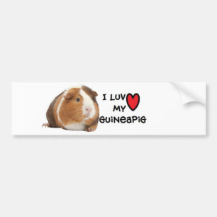 Guinese Bumpersticker "Ik hou van Mijn Guineeërs"