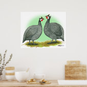 Guinese: Frans Poster (Keuken)