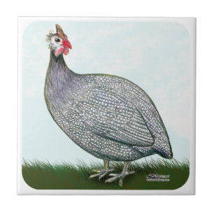 Guinese lavender On Watch Tegeltje